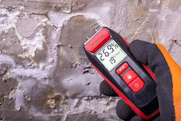 Best Affordable Mold Removal  in North Muskegon, MI